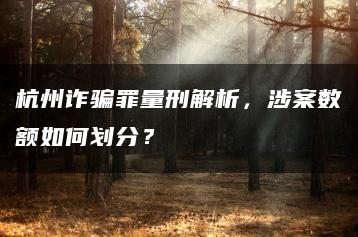 杭州诈骗罪量刑解析，涉案数额如何划分？
